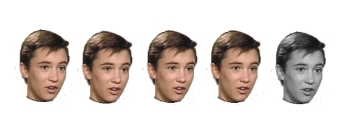 Sean Sandulak Verbatim Gibberish Wil Wheaton Four out of Five Heads