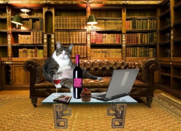 Getting Ready for Vaginal Fantasy